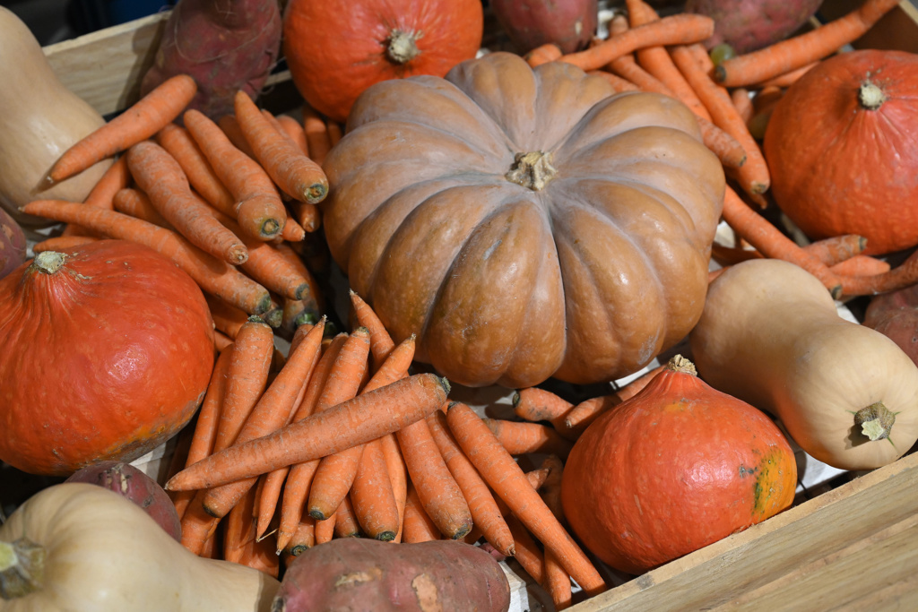 Natexpo 2025: a grand return to Porte de Versailles and other new features - pumpkin