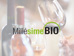 Masterclass Dégustation de vins by Millésime BIO